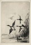 Marsh Birds by Anthony Thieme