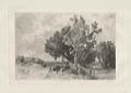 Naponoch Scenery Ulster County New York Original Etching by the American artist William Hart