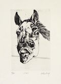 Max My Horse Max's Laugh Original Engraving and Etching by the American artist Sigmund Abeles