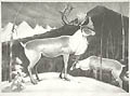 Caribou Two Caribou in a Snowy Mountain Landscape Original Lithograph by the American artist James Edward Allen also listed as James E. Allen