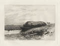 Near Annasquam or Annisquam Original Etching by the American artist Albion Harris Bicknell