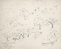 Tree Tops by George Biddle