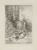 Cat and Snake Original Etching by the Swiss French artist Karl Bodmer