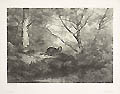 Young Wild Boars Original Lithograph by Swiss French artist Karl Bodmer