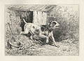 Guard Dog Bull Terrier Original Etching by the Swiss French artist Karl Bodmer