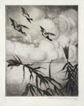 Shorebirds by Carmen Bonanno