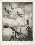 Shorebirds Original Etching by the Italian American artist Carmen Bonanno