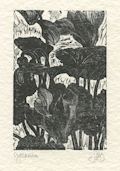 Cyclamen Cyclamen Genus of 22 recognized species of perennials Original Wood Engraving by the Canadian artist Gerard Brender a Brandis