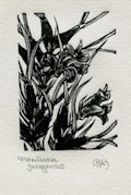 Maxillaria Juergensis Orchid Orchidaceae Maxillaria Juergensii a Species in the Maxillaria genus Original Wood Engraving by the Canadian artist Gerard Brender a Brandis