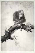 Not Interested Original Drypoint Engraving by the British artist Leonard Brightwell