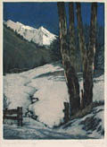Oberstdorf Original Aquatint and Drypoint Engraving by the German artist Max Bruning