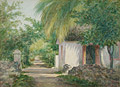 Sunlight and Shade Bahamas Original Watercolor by Armin Buchterkirch