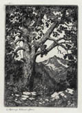 Moraine Park Colorado Original Etching and Drypoint Engraving by George Elbert Burr