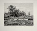 Le Petit Troupeau The Little Herd Original Etching by the French artist Jean Ferdinand Chaigneau published for the Societe des Aqua Fortistes Eaux Fortes Modernes by A Cadart and Luquet