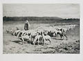 Moutons en Plaine Salon de 1863 Sheep in the Plain Original Etching by the French artist Jean Ferdinand Chaigneau also listed as Jean Chaigneau published for the Societe des Aqua Fortistes Eaux Fortes Modernes by Cadart and F Chevalier and A Cadart and Luquet