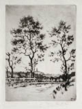 Near Pasadena Original Etching by the American artist Frank Tolles Chamberlin