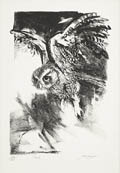 Owl in Flight Original Lithograph by the American artist Jack Coughlin