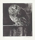 Owl Original Woodcut by the American artist Jack Coughlin