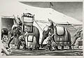 Circus Elephants Original lithograph by the American artist Raymond Creekmore