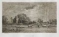 Lever de Lune Moonrise Original etching by the French artist Charles Daubigny published by the Gazette des Beaux Arts Paris