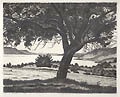 Auf Dem Eglisbohl Am Bodensee Lake Constance Original Etching by the German artist Hans De Vos