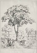 Sycamore near Reading Berkshire by the British artists William Alfred Delamotte and William Havell