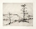 Dune Pines Original Engraving by the American artist Jacob Howard Euston
