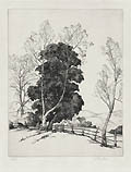 Garden Gate Original Engraving by the American artist Jacob Howard Euston