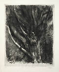 The 300 Year Old Pine Original Etching by Sheldon Fink also known as Shelly Fink