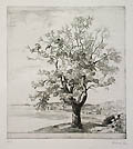Landscape Scene Original Etching and Drypoint by the Danish artist Andreas Friis