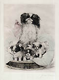 Pekingnese Japanese Chin or Japanese Spaniel Dog with Puppies Original Etching by the German artist Carl Albert Joseph Gaber also known as Carl Gaber