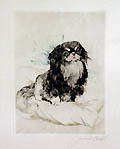 Pekingnesen Japanese Chin Dog on Pillow by Carl Albert Joseph Gaber