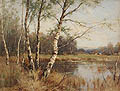 Birches by The Marsh Original Oil Painting by James Edward Grace