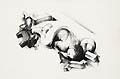 Still Life Original Lithograph by the American artist Honore Guilbeau.