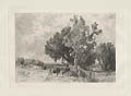 Naponoch Scenery Ulster County New York Original Etching by the American artist William Hart