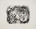 Jaguar Original Lithograph by the American artist Rosella Hartman