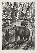 The Family A Bear and her Cubs Original Lithograph by the American artist Rosella Hartman