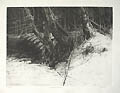 Woods Near Velden Original Etching and Aquatint by the American artist Edward Hill
