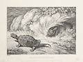 The Hare and the Tortoise Original Etching by the British artist Samuel Howitt