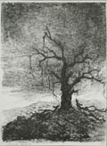 Blasted Tree on the Western Front First World War Original Lithograph by the French artist Charles Huard