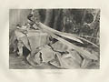 Armes Orientales Original Etching by the French artist Jules Ferdinand Jacquemart also known as Jules Jacquemart
