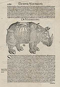 De Rhinocerote Rhinoceros Original Woodcut by David Kandel for Sebastian Munster's Cosmographia based upon an Albrecht Durer design.