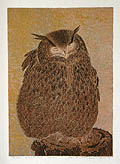 Owl by Yukio Katsuda