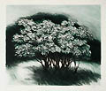 Thicket Original Lithograph by the American artist James Joseph Kearns also listed as James Kearns