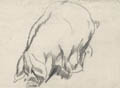 Pig Study by Henry Keller