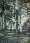 Birch Trees Original Etching by the American artist Frank Le Brun Kirkpartick designed by Theophile de Bock
