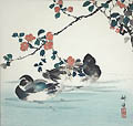 A Waterfowl Study Mallard Ducks and Flowers Original Woodcut by the Japanese artist Tsukioka Kogyo