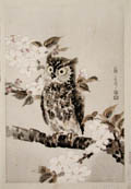 Owl and Cherry Blossoms Original Woodcut by Eiichi Kotozuka