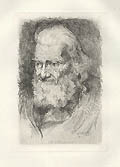 Head of an Old Man Original Etching by the American artist Joseph Lauber