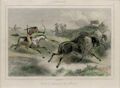 Canada Indiens Chassant Le Bisont Indians Hunting Buffalo Original Wood Engraving by the French artist and publisher Augustin Francois Lemaitre A. F. Lemaitre
